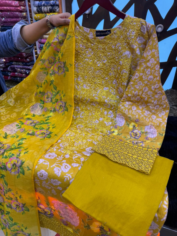 Premium Pakistani stitched dress collection 3 pcs